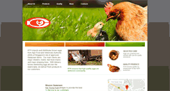 Desktop Screenshot of kyheggs.com